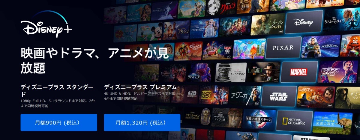Disney+_pic