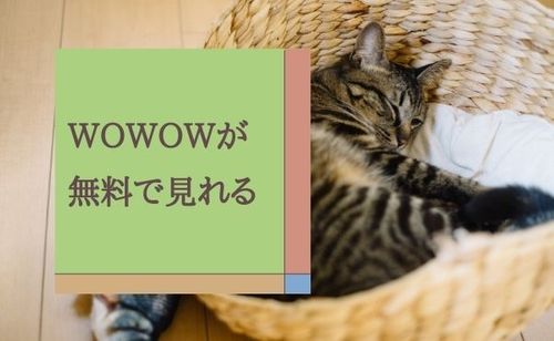 ネットからの登録なら無料トライアルOK！「WOWOWオンデマンド」について解説